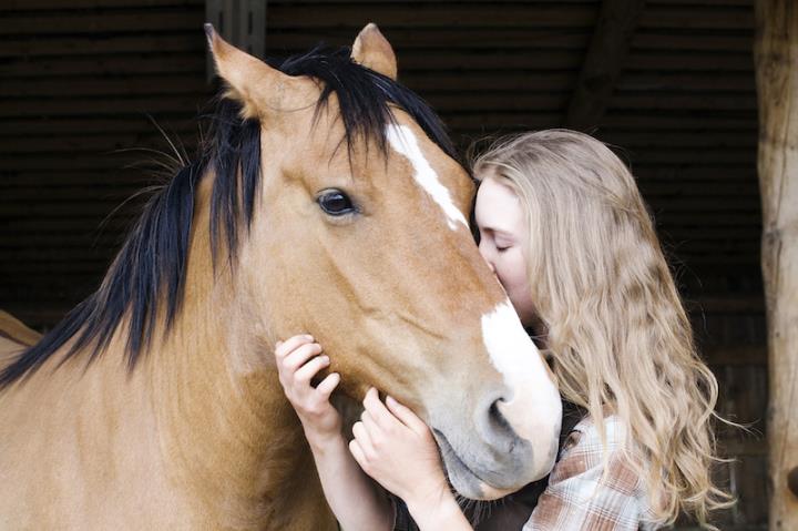 Girl kissing horse