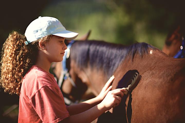 Girl in cap with curly hair grooming bay horse